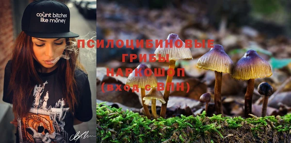 кристаллы Иннополис